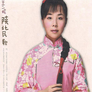 黄网站免费观看
