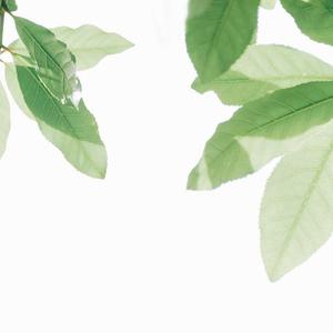 黄网站免费观看
